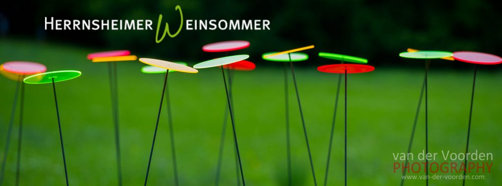 Herrnsheimer Weinsommer 2014Zur Foto-Galerie: https://on.fb.me/