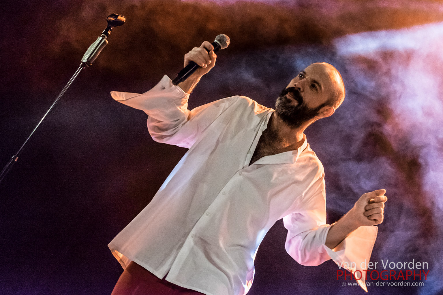 jan plewka singt rio reiser