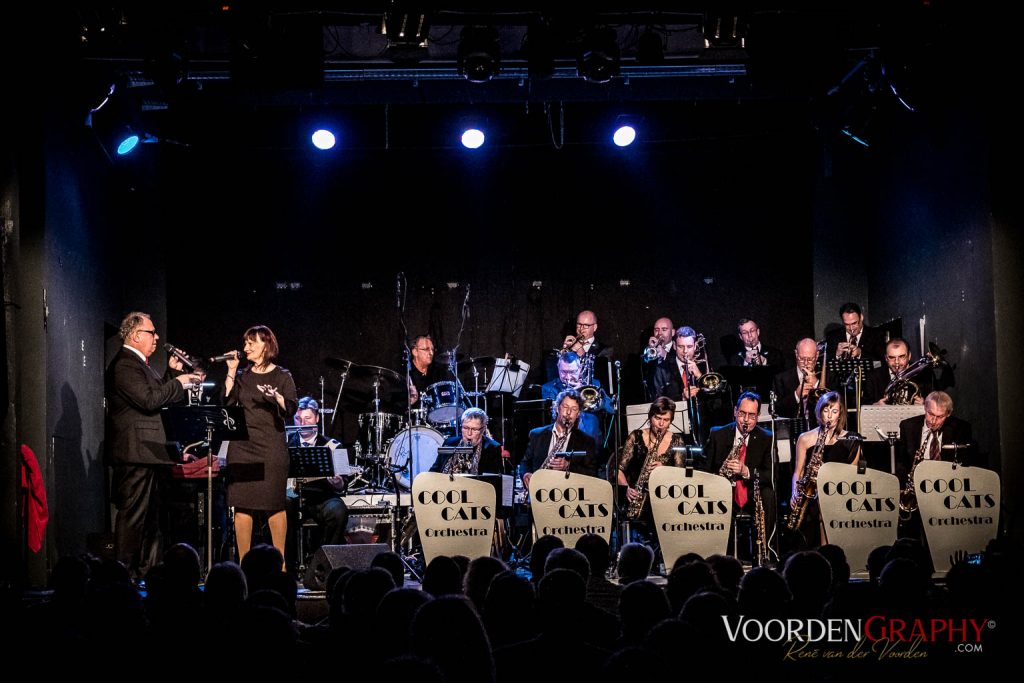 2017 Cool Cats Orchestra @ Rhein-Neckar-Theater