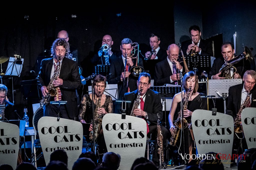 2017 Cool Cats Orchestra @ Rhein-Neckar-Theater