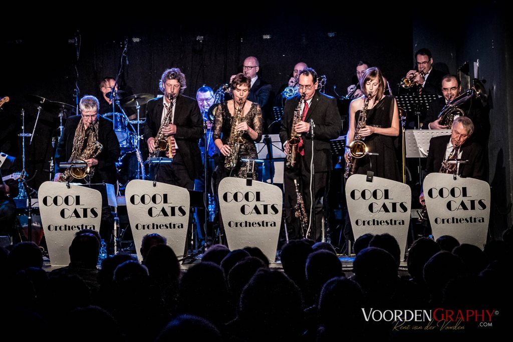 2017 Cool Cats Orchestra @ Rhein-Neckar-Theater