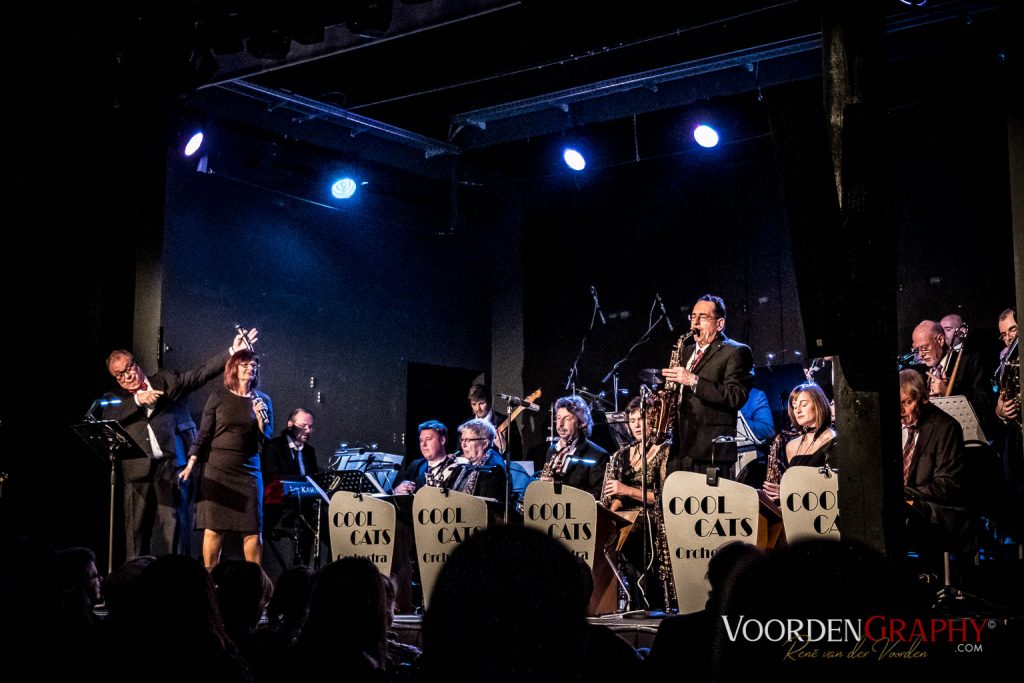 2017 Cool Cats Orchestra @ Rhein-Neckar-Theater