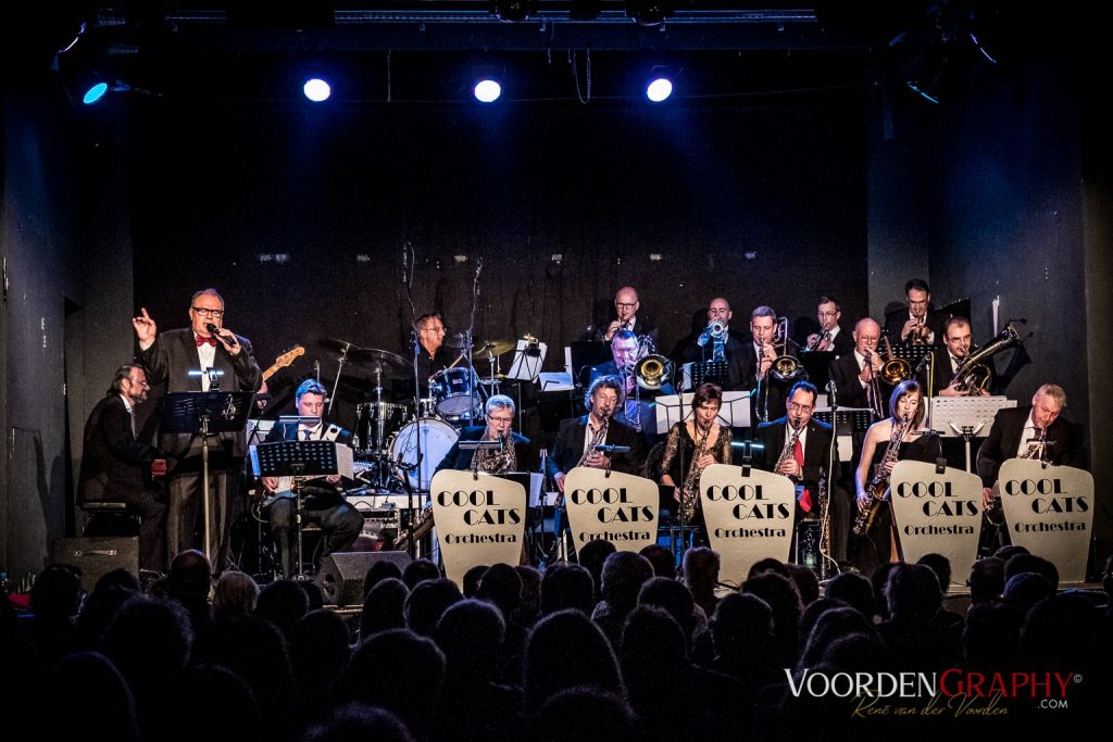 2017 Cool Cats Orchestra @ Rhein-Neckar-Theater