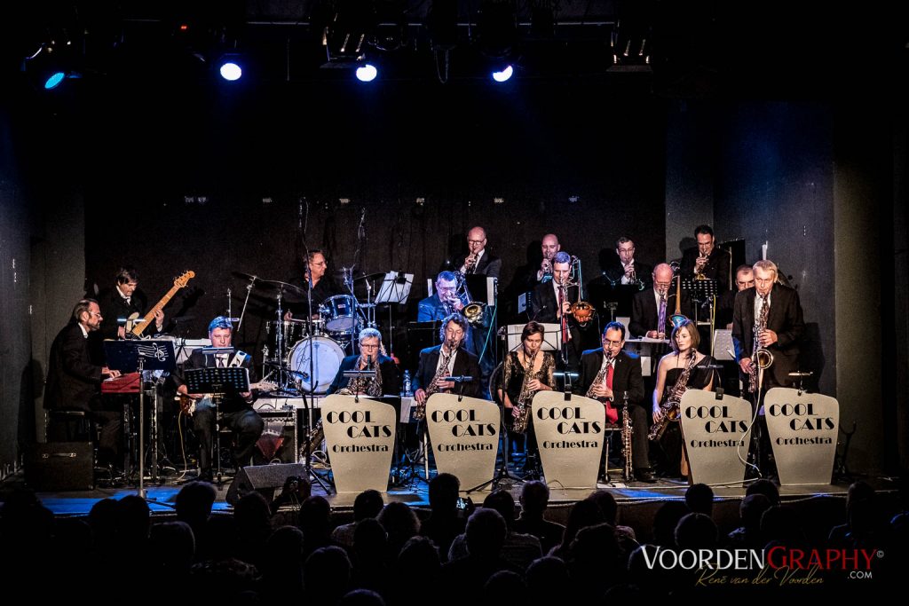 2017 Cool Cats Orchestra @ Rhein-Neckar-Theater