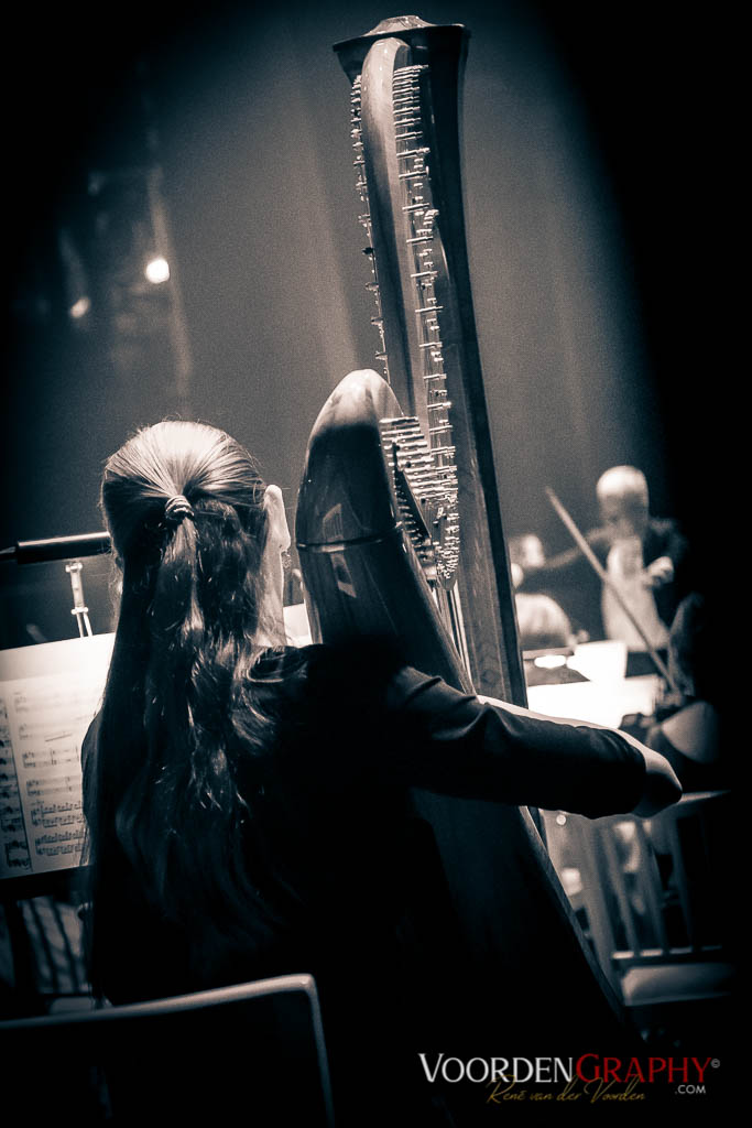 2018 Philharmonic Wonders - Freddy Wonder Combo und Frankfurter Sinfoniker @ Schlosstheater Schwetzingen
Foto: van-der-voorden.com