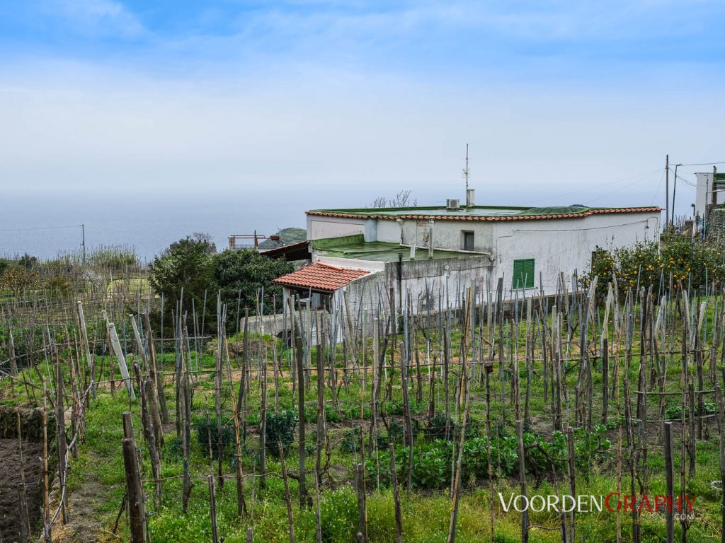 2018 Ischia