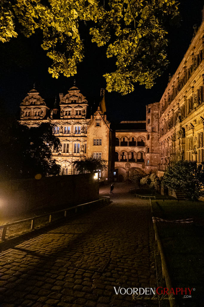 2019 New Philharmonic Wonders @ Königssaal Schloss Heidelberg // Foto: VoordenGraphy.com