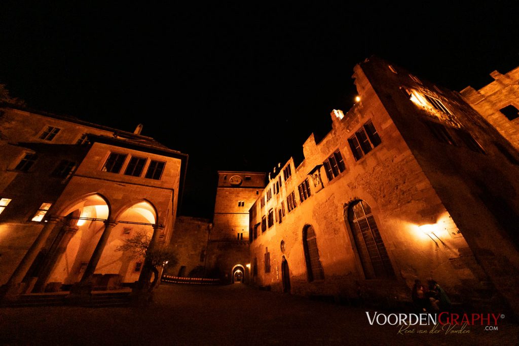 2019 New Philharmonic Wonders @ Königssaal Schloss Heidelberg // Foto: VoordenGraphy.com