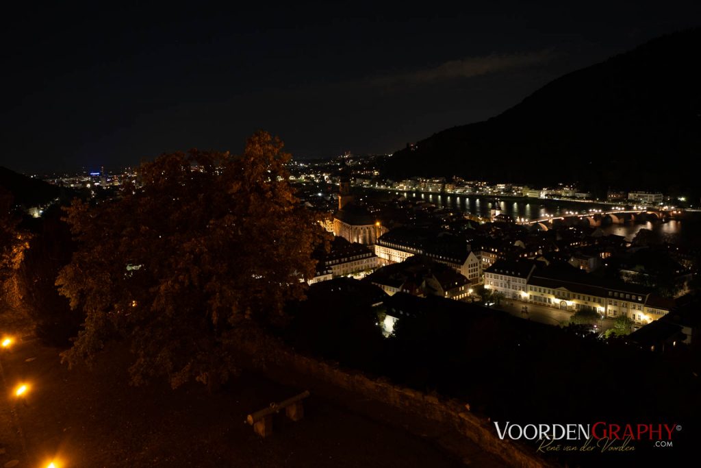 2019 New Philharmonic Wonders @ Königssaal Schloss Heidelberg // Foto: VoordenGraphy.com