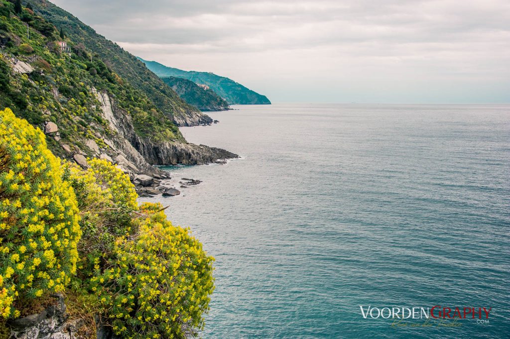 Cinque Terre / Italy