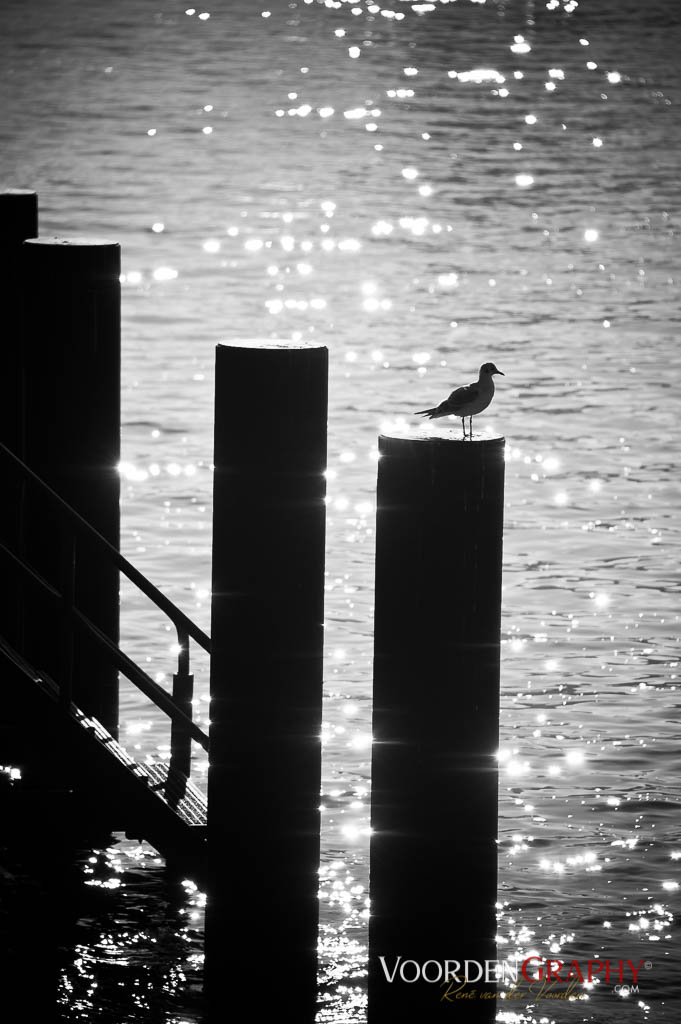 Seebad Binz / Usedom(C) 2011 van der Voorden Photography