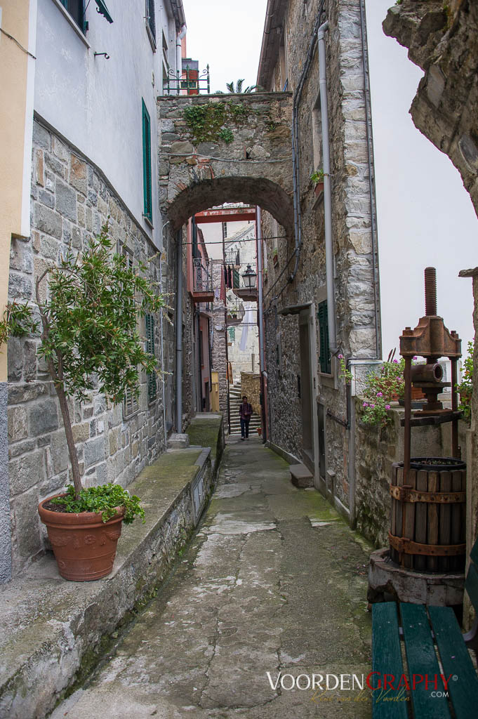 Cinque Terre / Italy