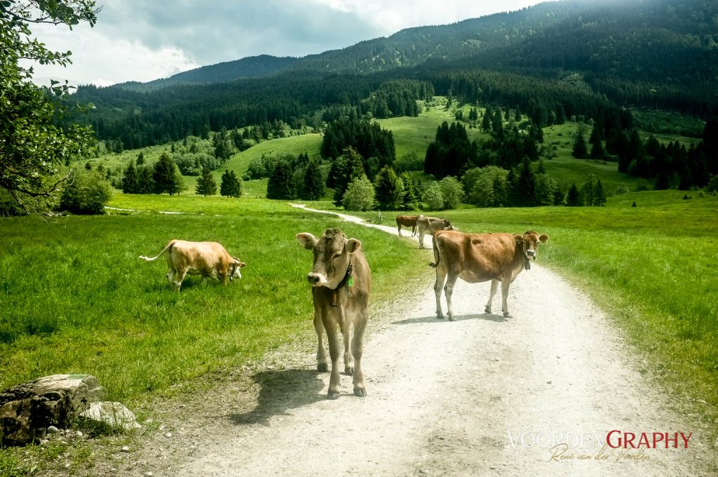 2014 Bodensee-Königsee-Radweg Impressionen