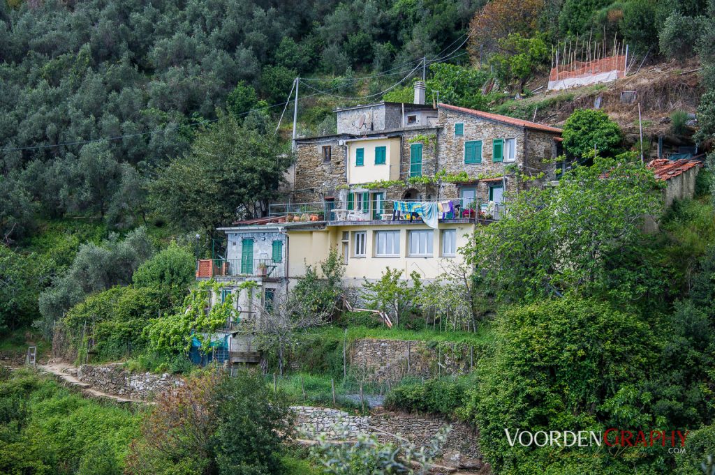 Cinque Terre / Italy