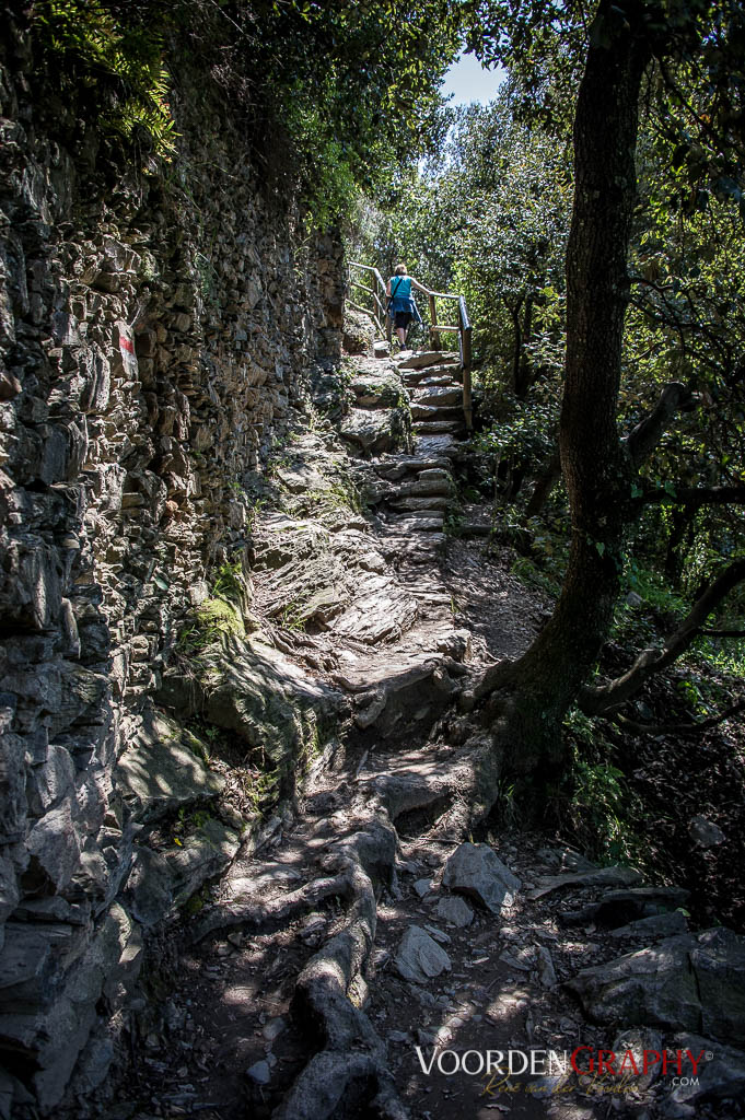 Cinque Terre / Italy