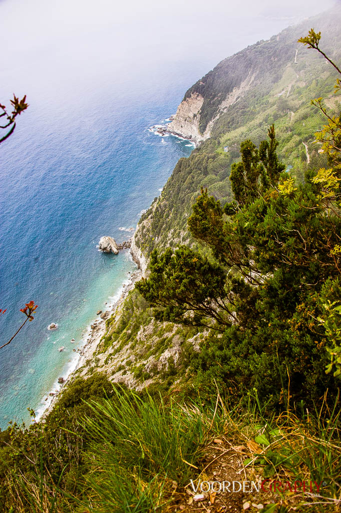 Cinque Terre / Italy