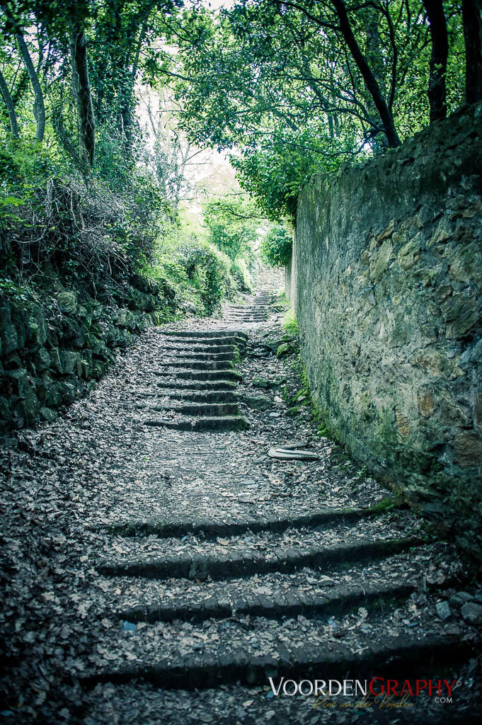 Cinque Terre / Italy