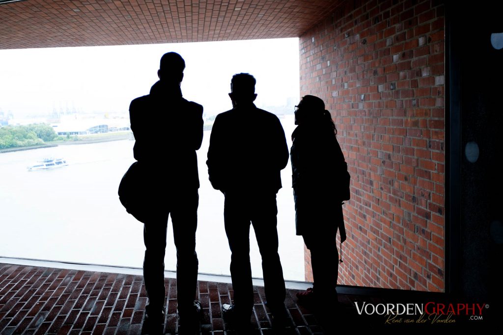 Blick auf die Elbe - Elbphilharmonie Hamburg (Elphi)