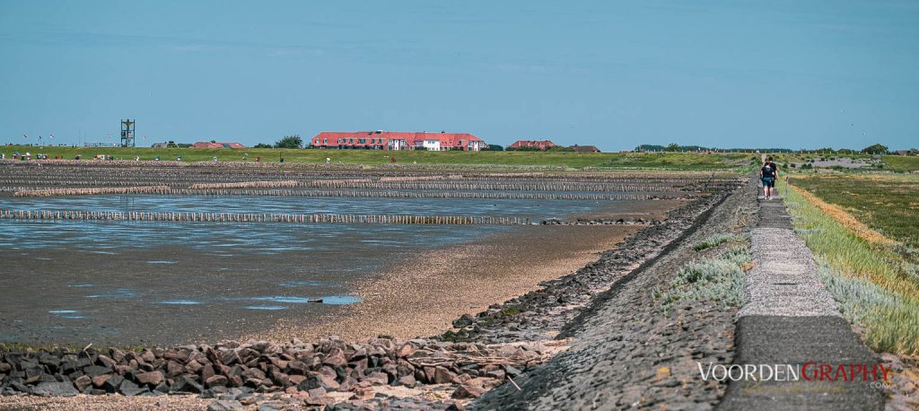 Trischendamm in Friedrichskoog-Spitze