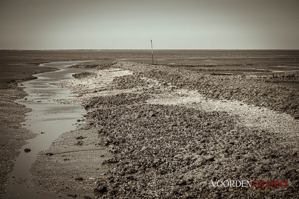 Am Trischendamm in Friedrichskoog-Spitze