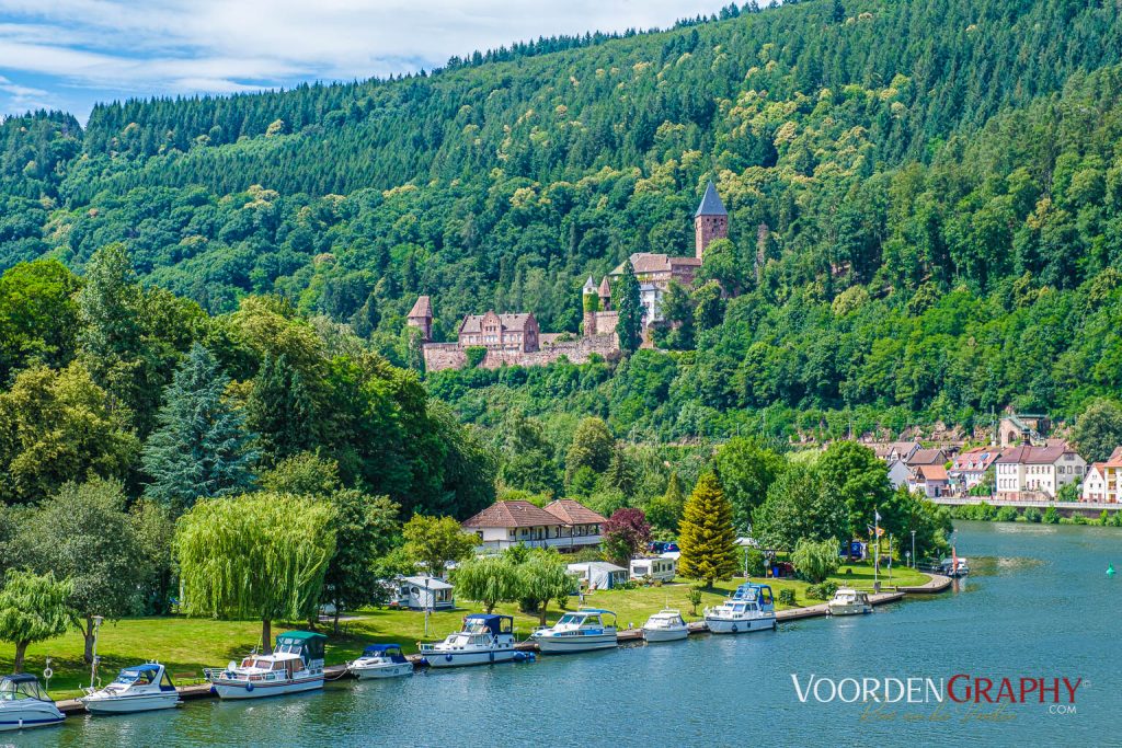 Burg Zwingenberg am Neckar