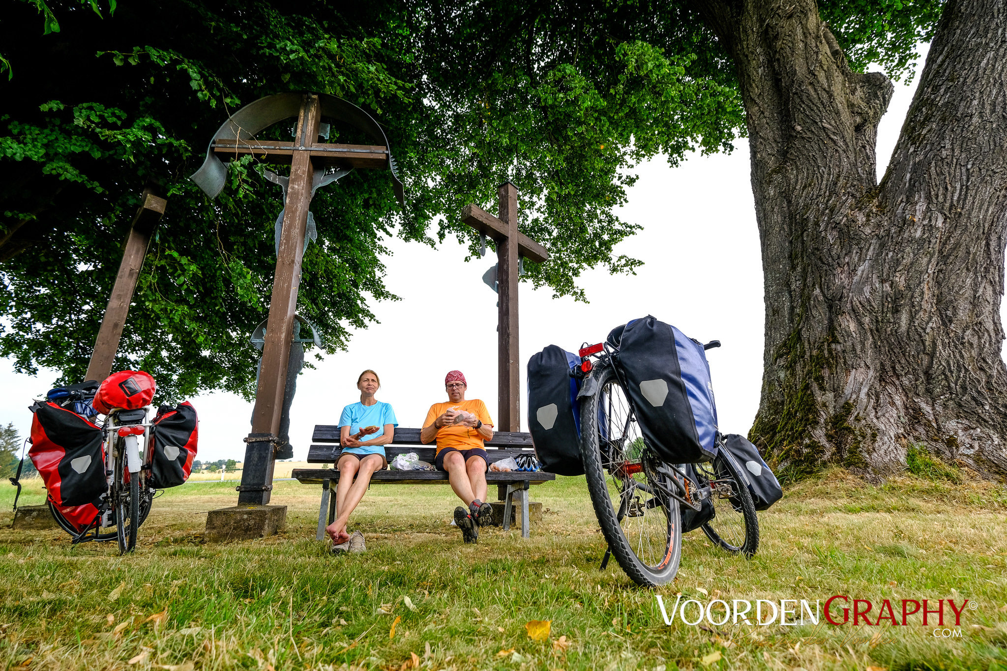 Pause an einem urlalten Baum
