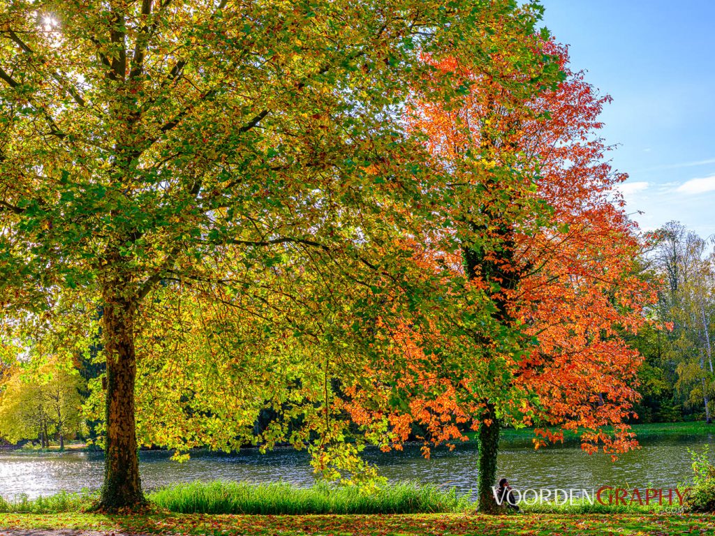 2020 Herbst-Impressionen @ Schlossgarten Schwetzingen