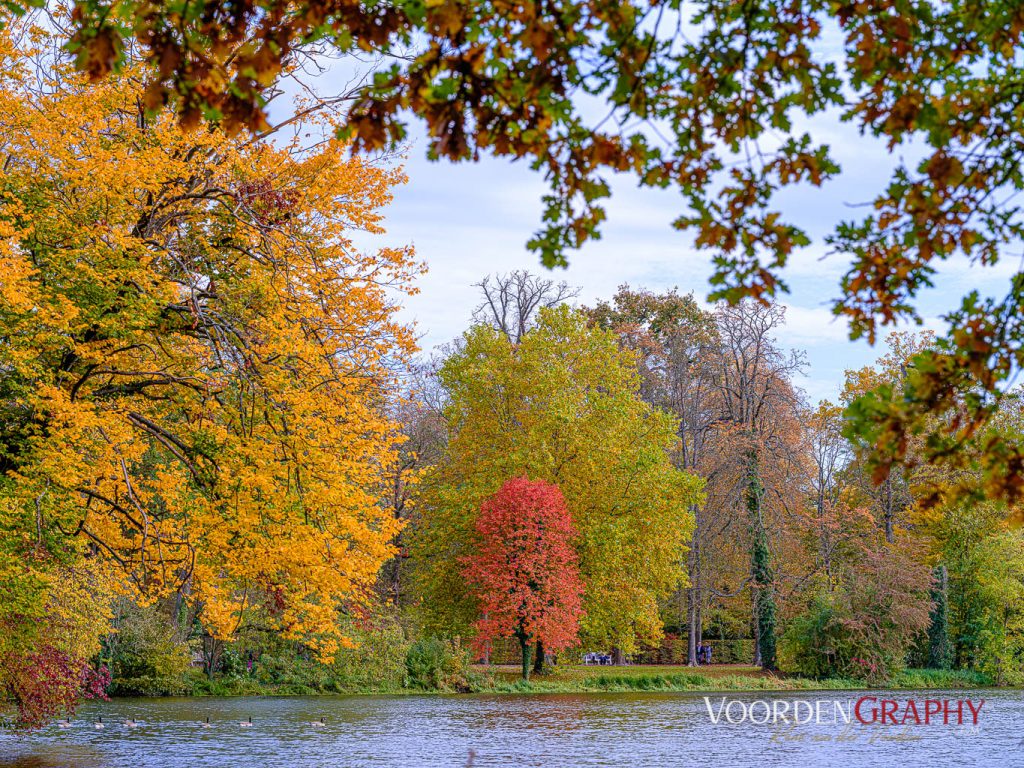 2020 Herbst-Impressionen @ Schlossgarten Schwetzingen