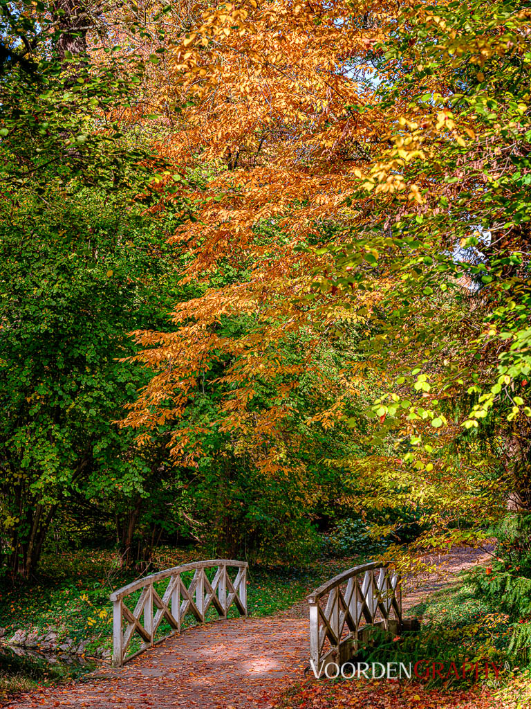 2020 Herbst-Impressionen @ Schlossgarten Schwetzingen