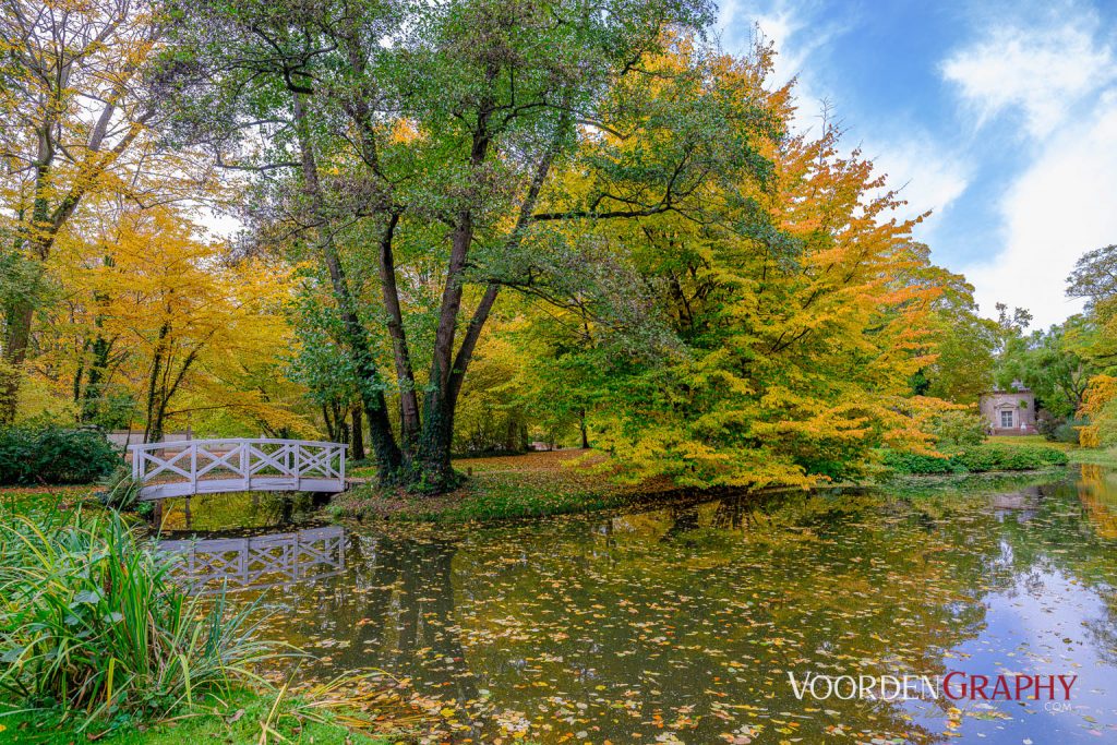 2020 Herbst-Impressionen @ Schlossgarten Schwetzingen