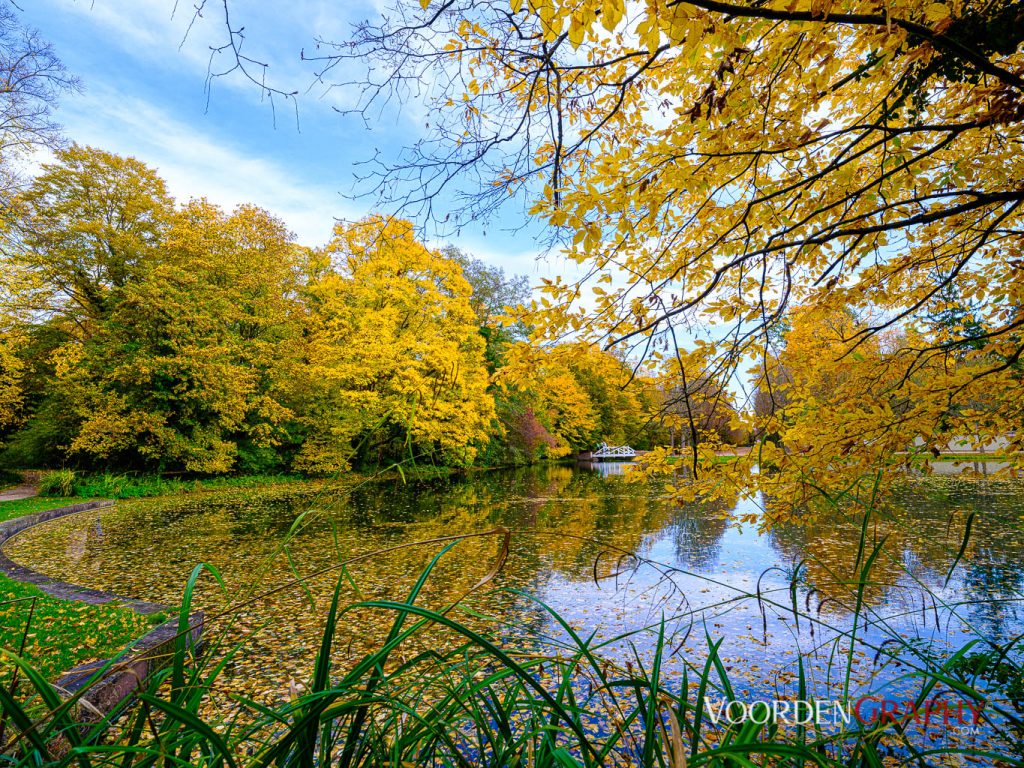 2020 Herbst-Impressionen @ Schlossgarten Schwetzingen