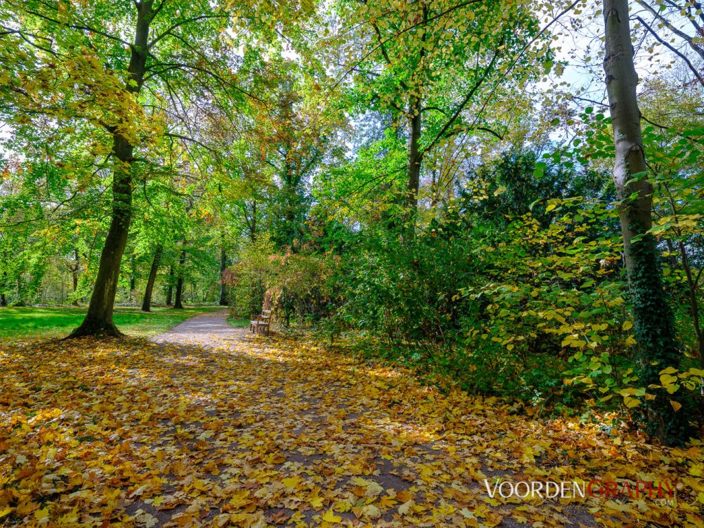 2020 Herbst-Impressionen @ Schlossgarten Schwetzingen