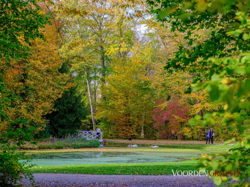 2020 Herbst-Impressionen @ Schlossgarten Schwetzingen