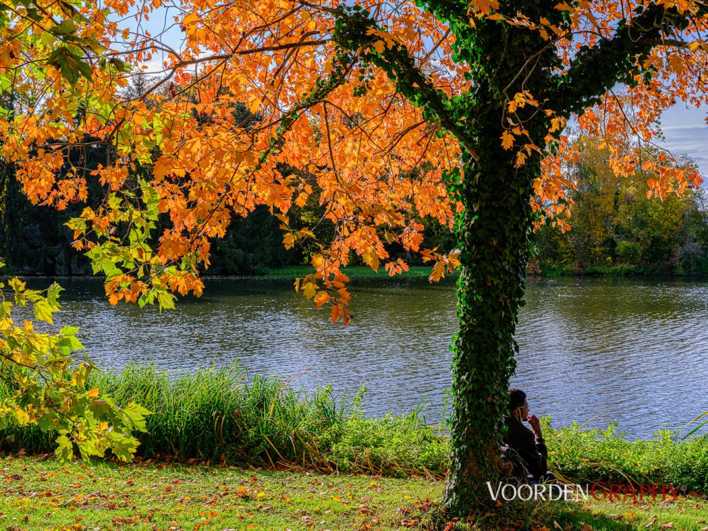 2020 Herbst-Impressionen @ Schlossgarten Schwetzingen