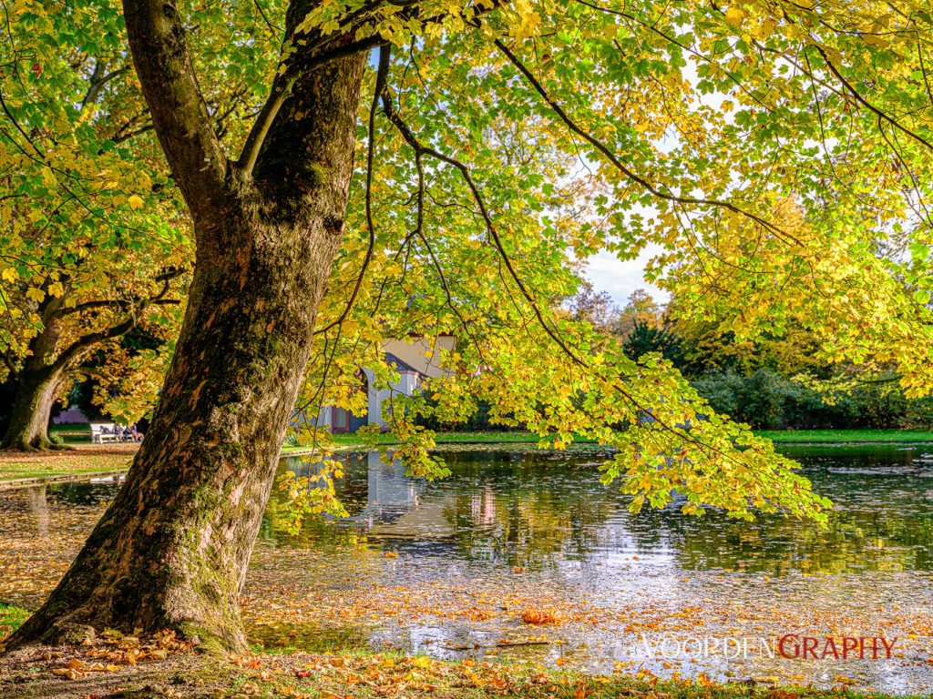 2020 Herbst-Impressionen @ Schlossgarten Schwetzingen