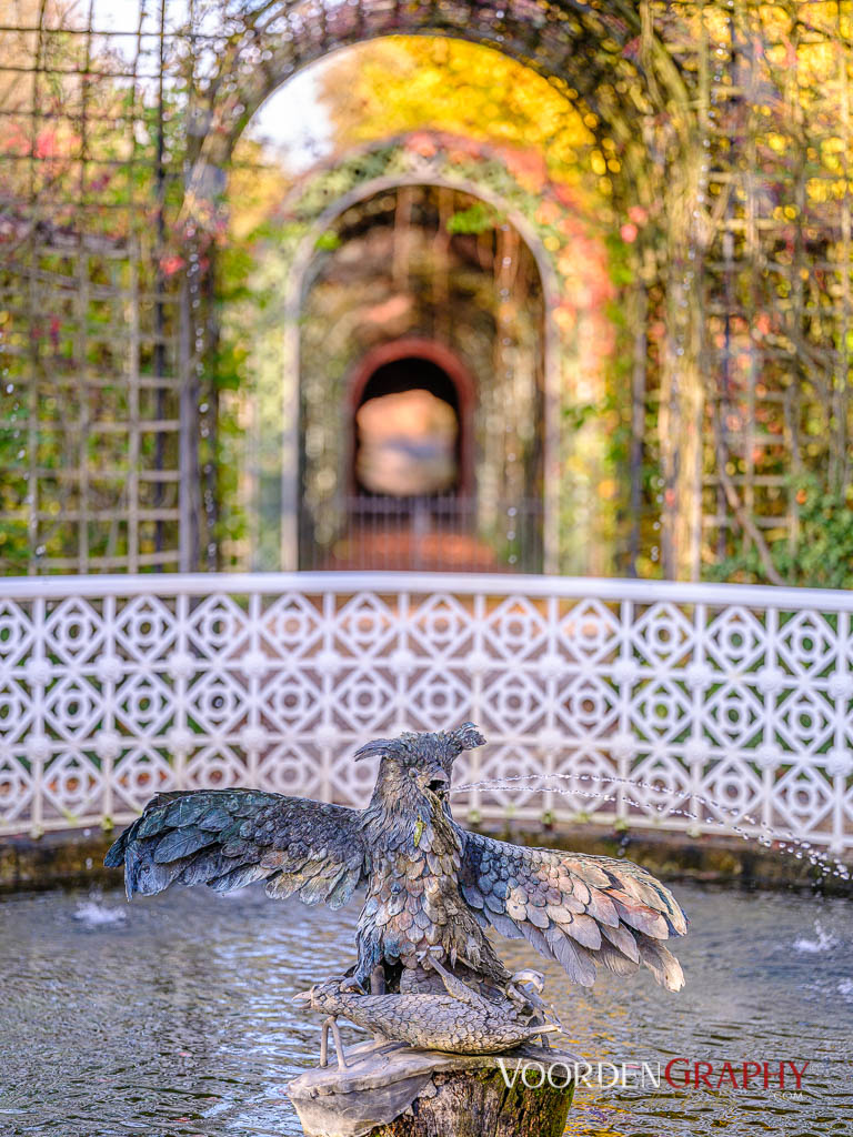 2020 Herbst-Impressionen @ Schlossgarten Schwetzingen