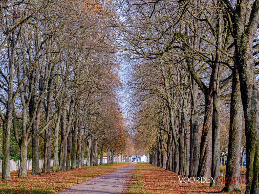 2020 Herbst-Impressionen @ Schlossgarten Schwetzingen