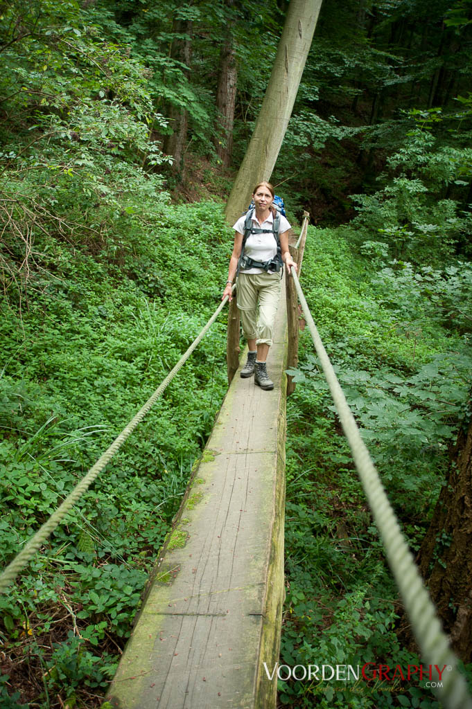 2010 Querweg Wanderung: Von Freiburg nach Konstanz