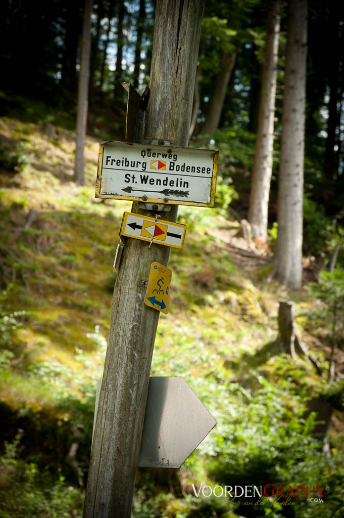 2010 Querweg Wanderung: Von Freiburg nach Konstanz