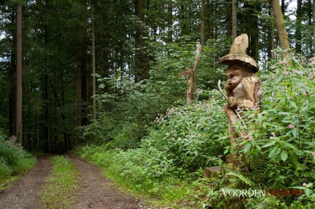 2010 Querweg Wanderung: Von Freiburg nach Konstanz