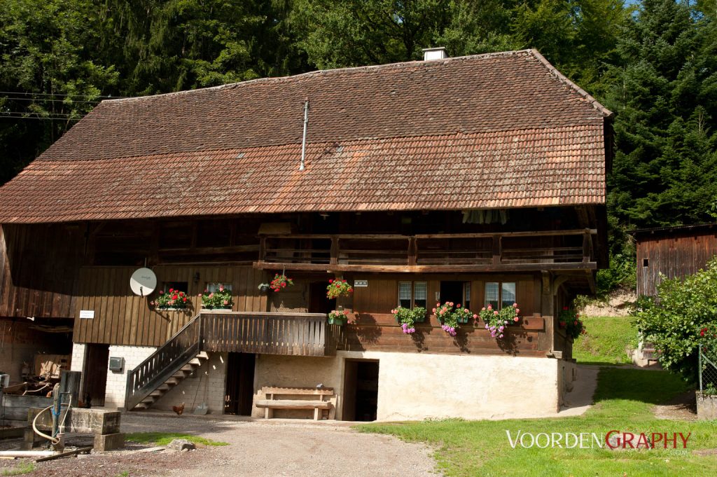 2010 Querweg Wanderung: Von Freiburg nach Konstanz