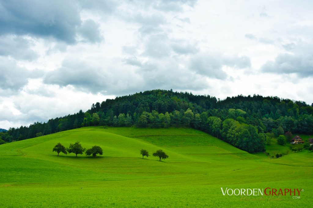 2010 Querweg Wanderung: Von Freiburg nach Konstanz