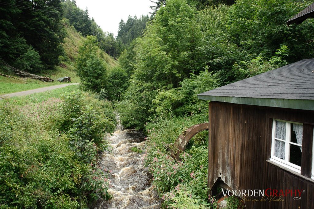 2010 Querweg Wanderung: Von Freiburg nach Konstanz