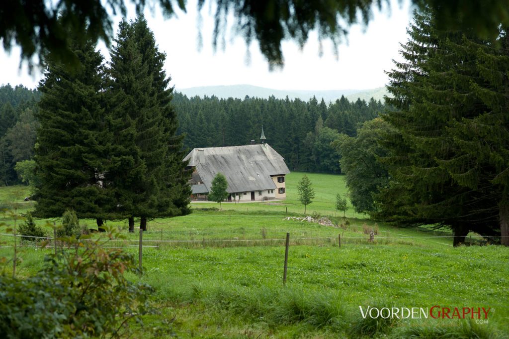 2010 Querweg Wanderung: Von Freiburg nach Konstanz