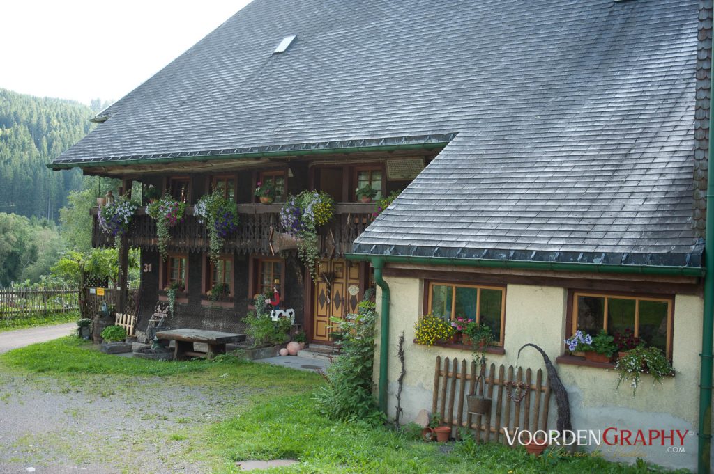 2010 Querweg Wanderung: Von Freiburg nach Konstanz