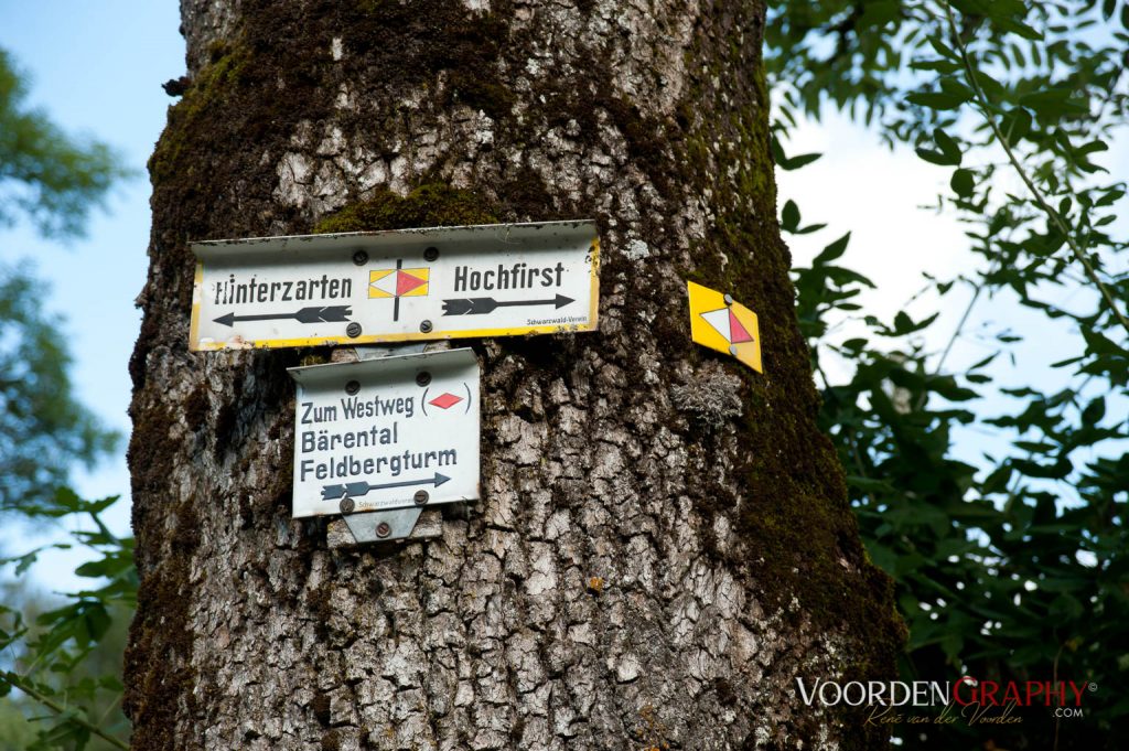 2010 Querweg Wanderung: Von Freiburg nach Konstanz