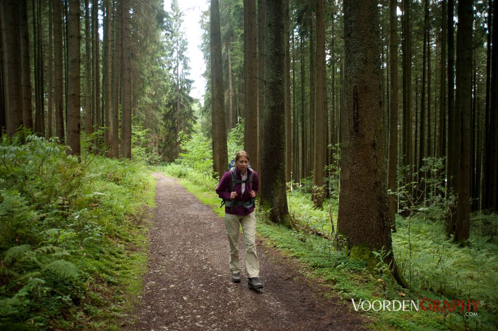 2010 Querweg Wanderung: Von Freiburg nach Konstanz