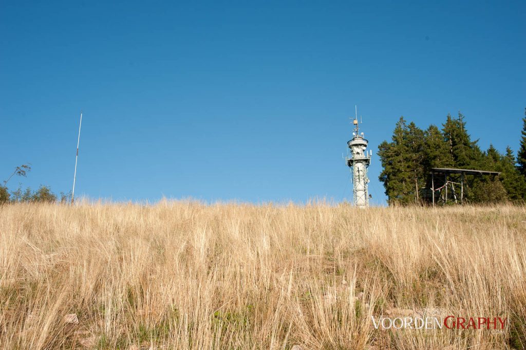 2010 Querweg Wanderung: Von Freiburg nach Konstanz