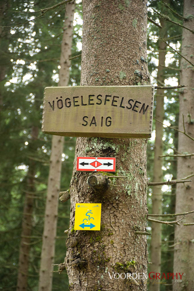 2010 Querweg Wanderung: Von Freiburg nach Konstanz