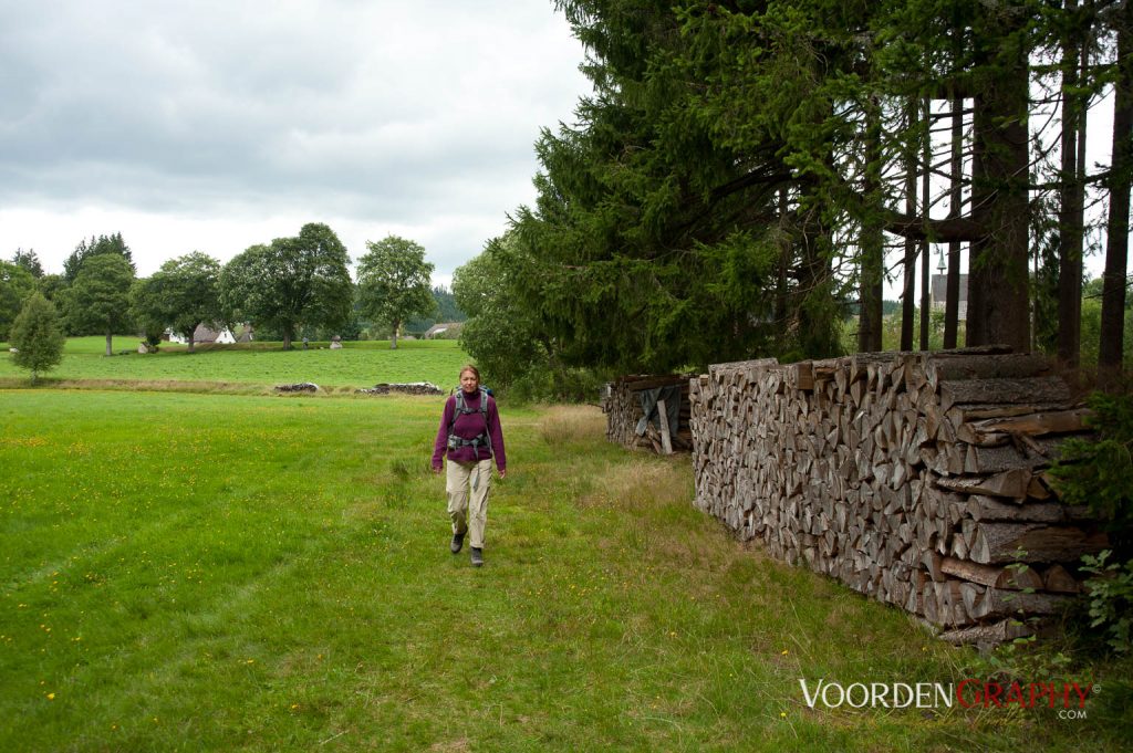 2010 Querweg Wanderung: Von Freiburg nach Konstanz